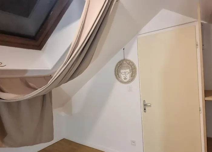 T3 Centre Renove 50 M2 Confort ! Appartement