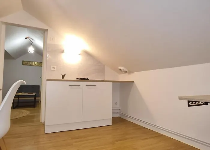 Appartement T3 Centre Renove 50 M2 Confort !