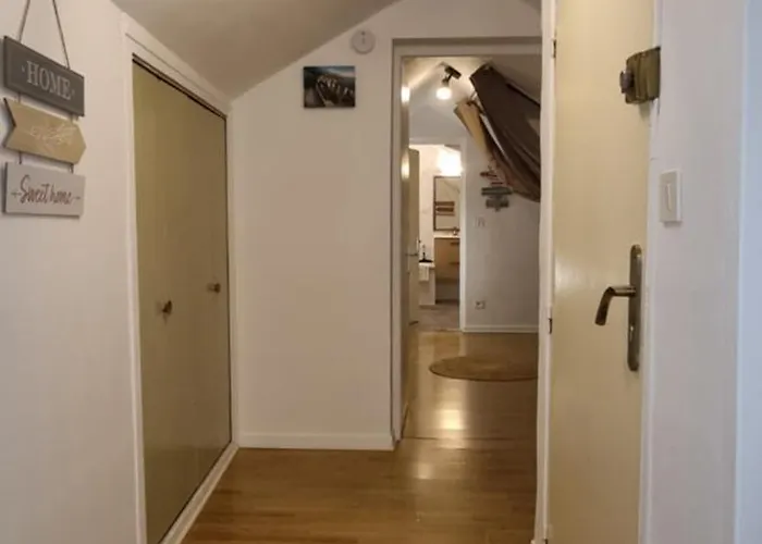 T3 Centre Renove 50 M2 Confort ! *