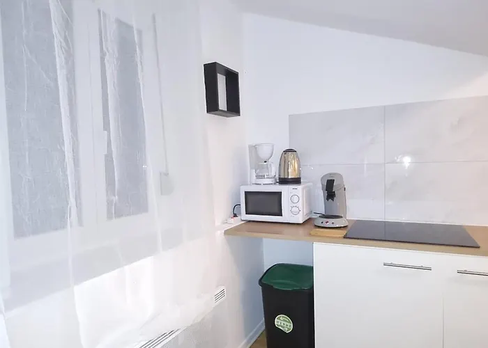 Appartement T3 Centre Renove 50 M2 Confort !