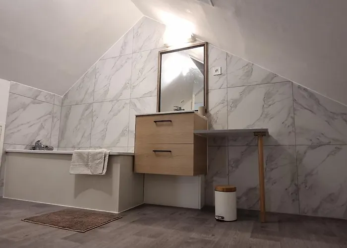 Appartement T3 Centre Renove 50 M2 Confort ! *