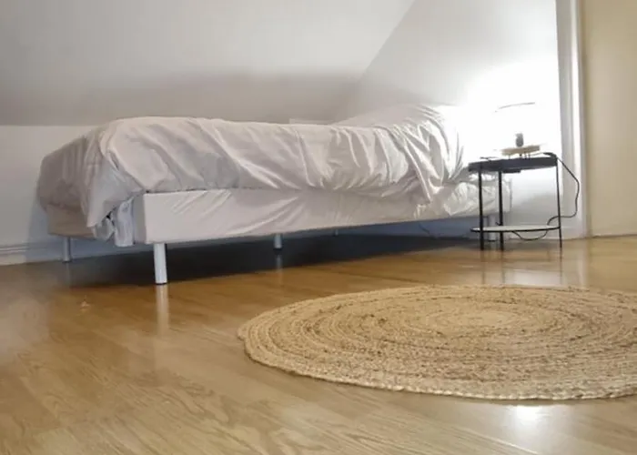 T3 Centre Renove 50 M2 Confort !