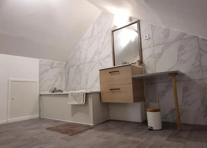 Appartement T3 Centre Renove 50 M2 Confort ! *