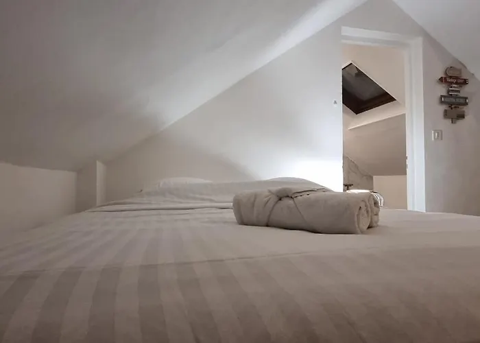 T3 Centre Renove 50 M2 Confort ! Appartement